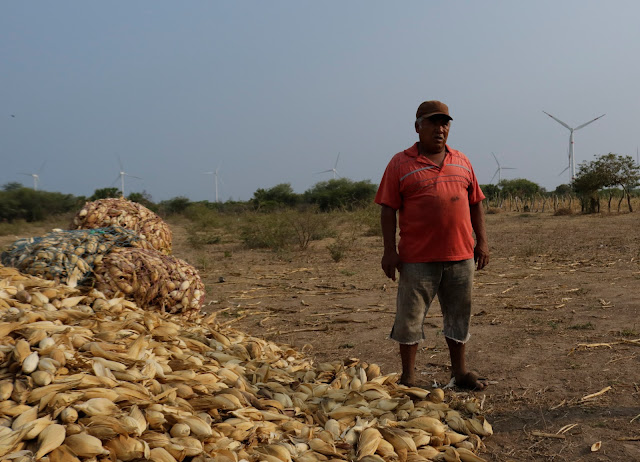 Juchitán: Globalización arriba vs globalización abajo
