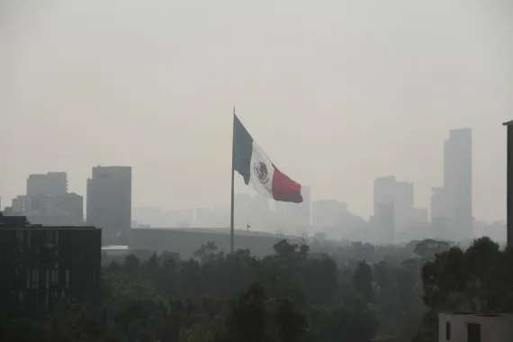 Estudio: Aire contaminado y demencia