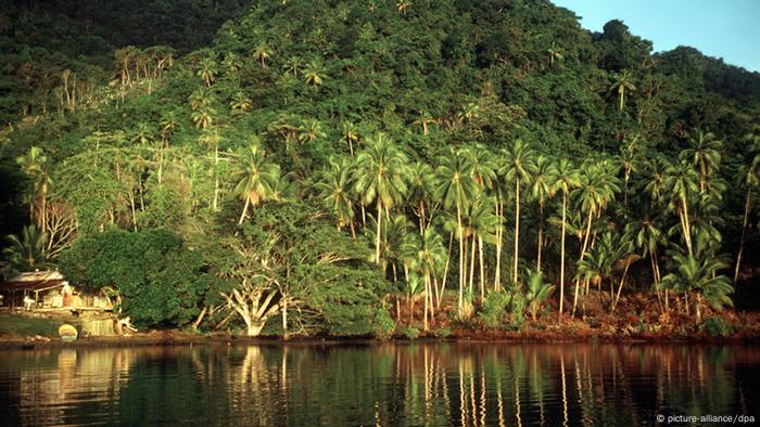 https://www.dw.com/en/mundiya-kepanga-the-voice-of-the-forest/a-39632648