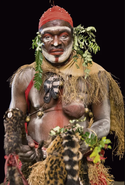 Guardianes de los bosques: Gabón